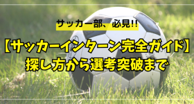 草原に置かれたサッカーボール